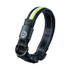 Dog luminous usb charging collar