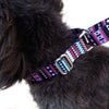 Pet Cushioning Collar