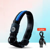 Dog luminous usb charging collar