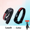 Dog luminous usb charging collar