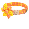 Fashion Printed Personalized Pet Collar