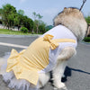 Princess Dog Costume