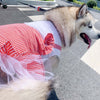 Princess Dog Costume