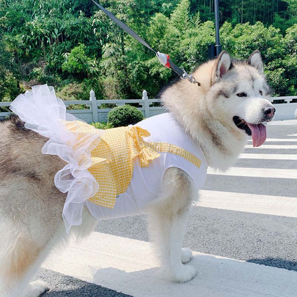 Princess Dog Costume