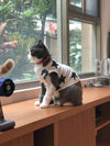 Pet Multi designed clothes