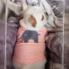 Pet Multi designed clothes