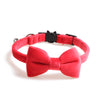 Velvet Pet Collars styled with Bowknot