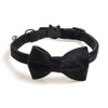 Velvet Pet Collars styled with Bowknot