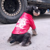 Pet Winter Fall Clothes