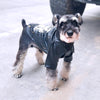 Pet Winter Fall Clothes