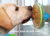 Pet Licking food plate