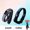 Dog luminous usb charging collar