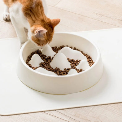 Pet Food Bowl