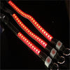 LED light pet collar