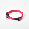 Luminous dog collar collar leash neck collar