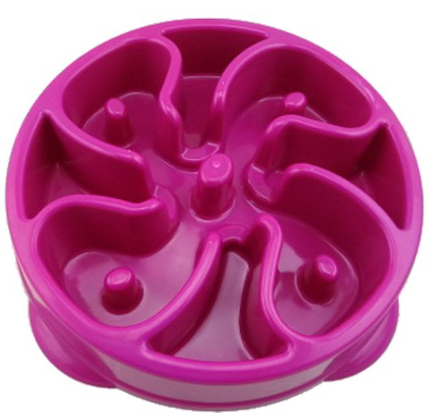 Colorful plastic food bowl for pets