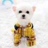 Cute Backpack Dog Clothing Pet Autumn