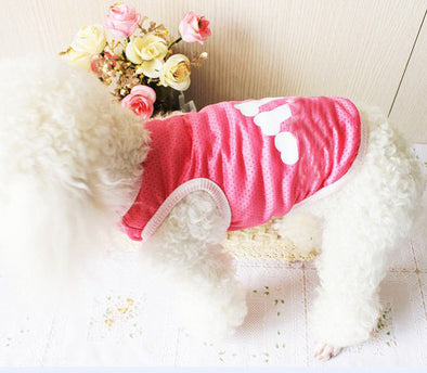 Pet Clothes