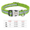 Pet Tag Nameplate ID Adjustable Collar