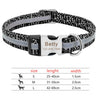 Pet Tag Nameplate ID Adjustable Collar