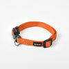 Luminous dog collar collar leash neck collar