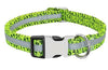 Pet Tag Nameplate ID Adjustable Collar