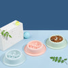 Colorful Pet food bowls