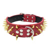 Large Explosion-Proof Rivet Bite-Proof Pet Collar