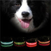 LED light pet collar