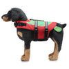 Pet Swimsuit Life Jacket