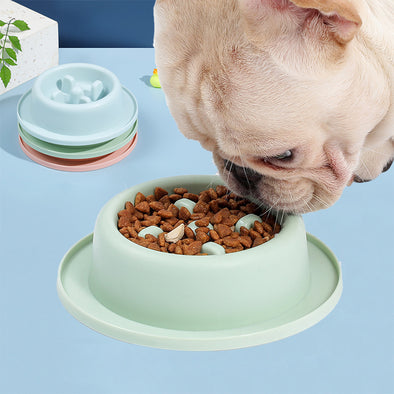 Colorful Pet food bowls